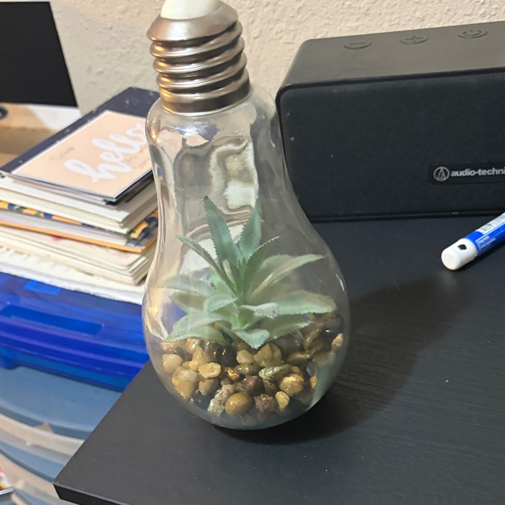 Glass Light Bulb Terrarium with Green Succulent